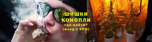 гидра Белокуриха