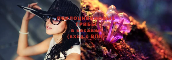 гидра Белокуриха