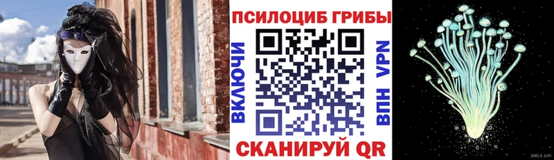 Галлюциногенные грибы Magic Shrooms  Купить  Таштагол 